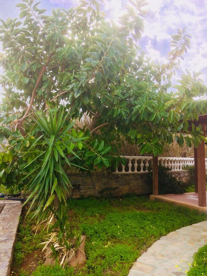House Of Light Appartement Sitia  Buitenkant foto