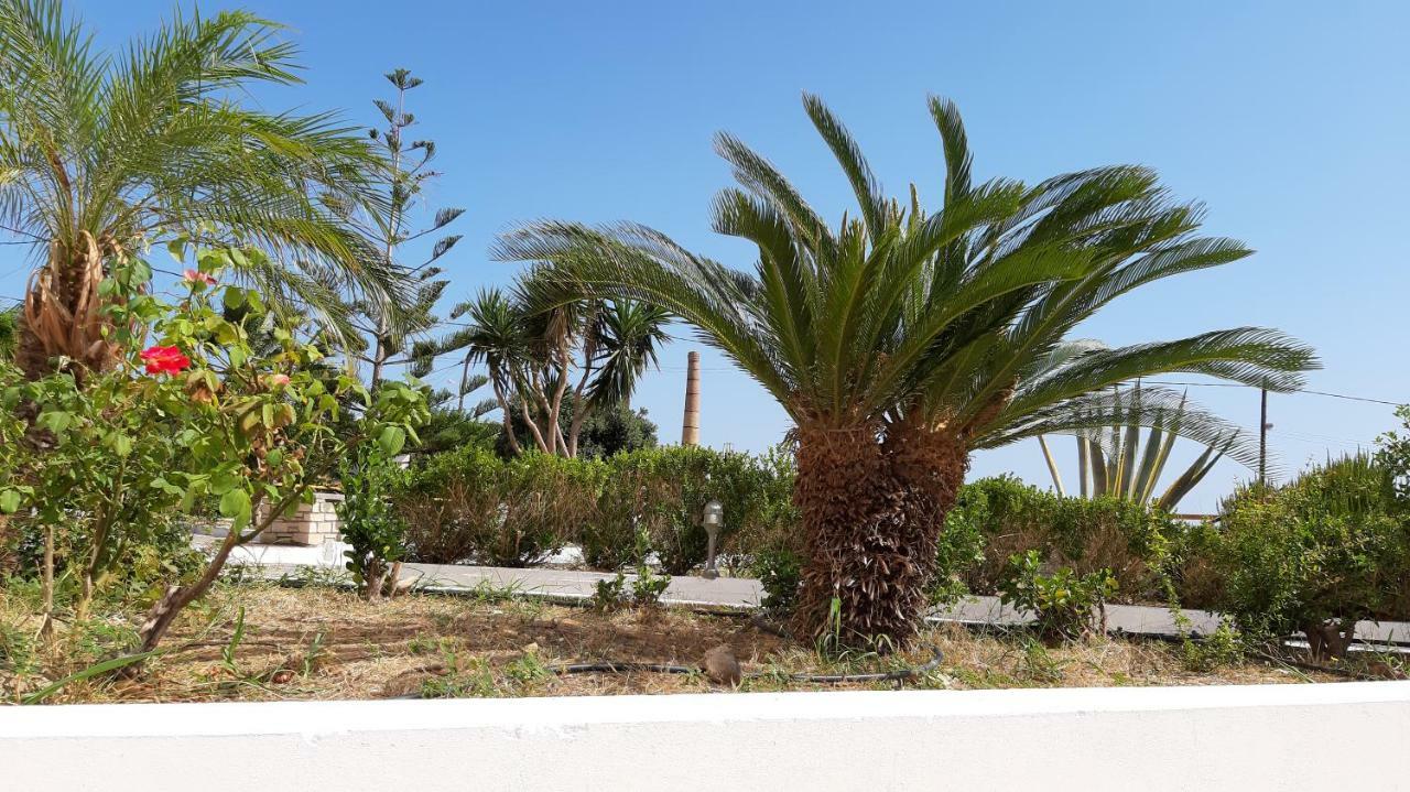 House Of Light Appartement Sitia  Buitenkant foto